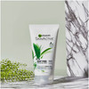 Garnier SkinActive Exfoliating Face Scrub with Green Tea Oily Skin 5 fl oz