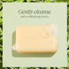 LOCCITANE Shea Verbena ExtraGentle Soap 880 fl oz
