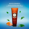 Perlier Sandalo del Kashmir Shampoo Shower Gel Sandalwood Scent 84 Fluid Ounces 250mL Tube Italian Import