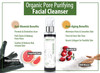 LuxeOrganix Purifying Organic Face Wash for Oily Skin with Bamboo Charcoal Vitamin C Aloe Vera and Silicone Scrubby 5 oz