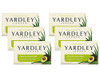 Yardley London Aloe and Avocado Naturally Moisturizing Bath Bar 40 oz Pack of 6