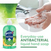 GermX Antibacterial Hand Soap 12 Oz Pack 4 Moisturizing Liquid Hand Wash for Kitchen or Bathroom pH Balanced Dermatologi