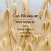 Mrs MEYERS Liquid Hand Soap Refill Oat Blossom 33 OZ