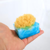 Primal Elements Facets of the Sea SpongeBar Soap Pack of 2