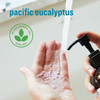 Everyone Liquid Hand Soap 1275 Ounce Pack of 3 Pacific Eucalyptus made with Essential Oils for kitchen and bathroom