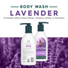 JASON Lavender Calming Body Wash For a Gentle Feeling Clean 30 Fluid Ounces