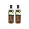 ShiKai Daily Moisturizing Shower Gel Coconut 12oz Pack of 2 Gentle Formula Aloe Vera Oatmeal for Soft Healthy Skin Dry S