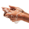 Beekman 1802 Goat Milk Hand Wash Vanilla Absolute Scented 125 fl oz Moisturizing Gentle Good for Sensitive Skin Cruelty