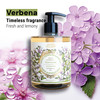 Panier des Sens Moisturizing Liquid Hand Soap Verbena Hand Wash French Hand Soap with Coconut Oil Made in Provence Refil