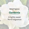 ShiKai Daily Moisturizing Shower Gel Gardenia 12oz Pack of 2 Gentle Formula Aloe Vera Oatmeal for Soft Healthy Skin Dry