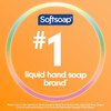 Softsoap Antibacterial Liquid Hand Soap Crisp Clean Scent 1125 Ounce 6 Pack