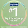 Softsoap Antibacterial Liquid Hand Soap Sensitive Rosewater and Aloe scent Hand Soap 1125 Fl Oz Pack of 6