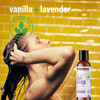 Everyone 3in1 Soap Body Wash Bubble Bath Shampoo Travel Size 2 Ounce Pack of 12 Vanilla and Lavender made with Essential