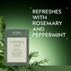 Aveda Rosemary Mint Bath Bar Soap with Invigorating Aroma of Certified Organic Peppermint Rosemary