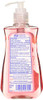 Dial Pomegranate Tangerine Antibacterial Hand Soap with Moisturizer 75 Oz Pack of 4