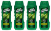 Irish Spring Body Wash Aloe Vera 18 Fl Oz Pack of 4