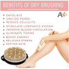 Avilana Exfoliating Dry Brush for Wet or Dry Brushing, Body Brush with Natural Bristle,Glowing Skin, Cellulite Treatment, Lymphatic Drainage and Impr