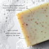 Plantlife Peppermint 6pack Bar Soap Moisturizing and Soothing Soap for Your Skin Hand Crafted Using PlantBased Ingredien