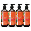 Natural Solution Body Wash Revitalizes Refreshing Your Skin Formulated with Organic Blood Orange Extracts with Himalayan