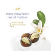 Dove Purely Pampering Body Wash for Dry Skin Shea Butter with Warm Vanilla Effectively Washes Away Bacteria While Nouris