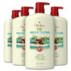 Old Spice Body Wash for Men 247 Shower Fresh with Lasting Scent Cleanse Refresh Gentle on Skin Vitamin B3 Fiji with Palm