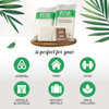 ECO amenities Travel Soap Bar 05 oz 200Count Green Tea Scent Travel Essentials Mini Soap Bars Individually Wrapped Hotel