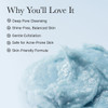 Arencia Hyssop Brightening DeepCleansing Face Scrub Exfoliator All Skin Types For Sebaceous Filaments Blackheads 176oz