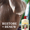 Old Spice Cleansing Body Wash for Men 247 Shower Fresh with Lasting Scent Restore Renew Gentle on Skin Vitamin B3 Moistu