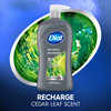 Dial Men 3 in 1 Body Hair and Face Wash Recharge 32 Fl Oz Cedar Leaf Scent Cleanses Deep Gentle on Skin with Clean Rinse