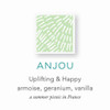 Zents Hand Body Wash Anjou Fragrance Hydrating AntiAging Cleanser with Organic Shea Butter Aloe for Dry Skin Gentle Nour