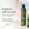 Tree of Life Beauty Vitamin C Brightening Face Care Minimizing Pores Facial Cleanser for Gentle Deep Cleaning with Organ