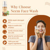 Satthwa Organic Neem Turmeric Face Wash for Acne Pimples with Turmeric Extract Neem Leaf Extract Oil Control Cleanses an