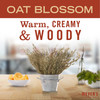 MRS MEYERS CLEAN DAY Moisturizing Body Wash for Women and Men Shower Gel Formula Made with Essential Oils Oat Blossom Sc