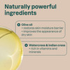 ATTITUDE Body Soap Bar Natural Origin Protects and Softens Dry Skin Coconut Olive Oils For Men and Women EWG verified Ve