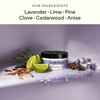 Fresh Wave Lavender Odor Removing Gel 15 oz 7 oz Safer Odor Absorbers for Home Natural PlantBased Odor Eliminator Every