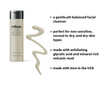 Raya Glycolic Mud Facial Cleanser with AHA 8 oz G103 Exfoliating pH Balanced Facial Cleansing Fluid for Non Sensitive Dr