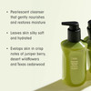 Desertland Replenishing Body Wash Refill