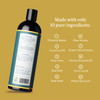 Aleavia Body Cleanse Organic AllNatural Prebiotic Body Wash with Raw Honey Green Tea Honeysuckle Scent 16 Oz