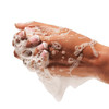 Beekman 1802 Goat Milk Hand Wash Sunshine Lemon Scented 125 fl oz Moisturizing Gentle Good for Sensitive Skin Cruelty Fr