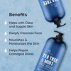 Botanic Hearth Tea Tree Face Wash With Mint Acne Fighting Premium Hydrating Liquid Face Soap With Pure Tea Tree Oil For