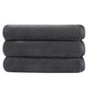 SINLAND Absorbent Coral Velvet Washcloth Ultra Soft Microfiber Face Towels 12 x 12 inch MultiPurpose Face Cloths for Hou