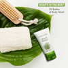 Travel Size Hotel Body Wash 20 Count 1 oz Bottles Guest Amenities for Vacation Rentals and Short Term Rentals Paraben Fr