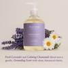 Deep Steep Liquid Hand Wash Lavender Chamomile 176 oz Moisturizing Cleanser with Olive Oil Aloe Vera Glycerin Hyaluronic