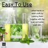 Glycerin Bar Soap Green Essence Scent Natural VeganFriendly Hypoallergenic Moisturizing and Hydrating with 100 Vegetable