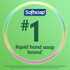 Softsoap US05264A SOFTSOAP Liquid Hand Soap Refill Soothing Aloe Vera 50 Ounce Bottle Bathroom Soap Bulk Soap Moisturizi