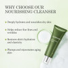 Aloderma Firming Nourishing Facial Wash Made with Organic Aloe Vera Moisturizing Face Wash for Dry Aging Skin Replenishi