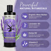 Dr Woods Lavender Liquid Castile Soap Castile Soap with Pure Lavender Oil Body Wash for Men and Women Organic Shea Butte