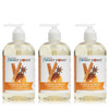 Natural Flower Power Liquid Hand Soap Refreshing Citrus and Spice 12 oz