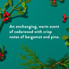 Native Body Wash Holiday Edition Fresh Mistletoe Scent Contains Naturally Derived Ingredients For Women Men Sulfate Para