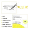 Premade Fans Eyelash Extensions 6D-C-0.07-11 Long Stem Premade Volume Eyelash Extensions .07 .10 Premade Volume Fans C D Curl(6D-C-0.07,11 mm) online at globaldelivered